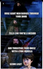 Join me for a rundown of some of the greatest harry potter snark on the web. 30 Harry Potter Memes Ok So They Are 8 Years Late Live One Good Life