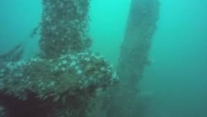 The SS City of Brisbane was British merchant steam ship. She was torpedoed  by a U boat on 13th August 1918 while on route to Buenos Aires. She sank...  | By Hackney