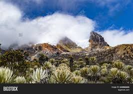 Tolima from mapcarta, the open map. Valleys Frailejones Image Photo Free Trial Bigstock