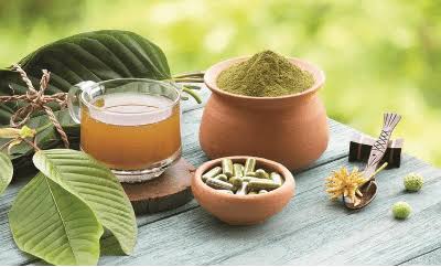 BEST KRATOM PRODUCTS OF 2026: TOP BRANDS FOR CAPSULES, POWDER, & MORE -  Stage and Cinema
