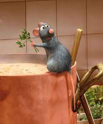 Ratatouille streaming hd gratuit sans ilimité,synopsis: Tiktok Ratatouille Musical Play How To Watch Benefit