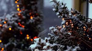 Check out our aesthetic background selection for the very best in unique or custom, handmade pieces from our digital shops. Christmas Aesthetic On Tumblr
