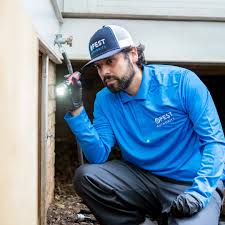 Don't Let Pests Disrupt Your Piece Of Mind!