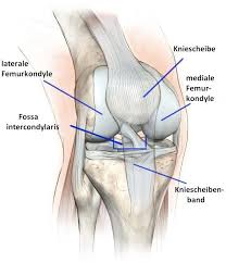 Femoropatellares Schmerzsyndrom Ubungen Operation Behandlung Bandage