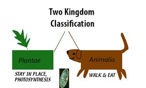 Detail 6 kingdom biologi pdf dapat kamu nikmati dengan cara klik link download dibawah dengan mudah tanpa iklan yang mengganggu. Perkembangan Sistem Klasifikasi Makhluk Hidup Dari 2 7 Kingdom Biologijk
