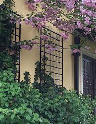 Climbing hydrangea works best when allowed to grow on masonry, brick or stone surfaces. Large Modern Wall Trellis Made Of Steel Galvanised And Powder Coated