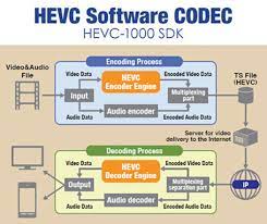 To download hevc codecs from the microsoft store, press windows + s to launch the search menu, enter 'microsoft store' in the text field at . Free Download Hevc H 265 Codec For 4k 8k Video Playback