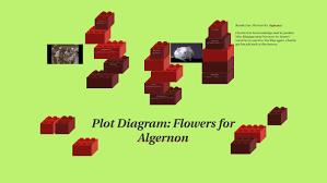 Plot Diagram Flowers For Algernon By Madison Haney On Prezi