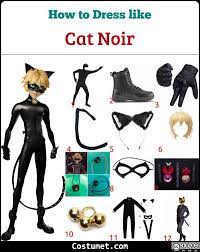 Ladybug And Cat Noir Costume For Cosplay Halloween Cat Noir Costume Ladybug And Cat Noir Costume Noir