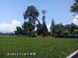 Jne sangat mengutamakan pelanggan sehingga bisa totalitas untuk melayani selama 7 hari dan 60 jam kerjanya. Candi Lor Dan Anjuk Ladang Tonggak Berdirinya Kabupaten Nganjuk D Travellers