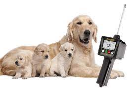 Find detector from a vast selection of dog supplies. Draminski Dod2 Dog Ovulation Detector Photon Surgical Systems Ltd