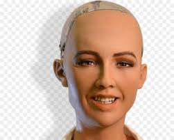 Redes neurais artifícios e Inteligência Artificial Lucy Ana* 1.O começo ao  estudo 2.Introdução a rede neural humana