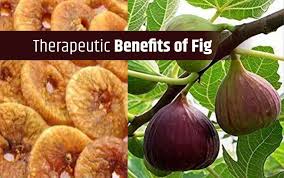 Mar 11, 2021 · anjeer fruit,anjeer tree,fig cultivation,fig tree,fig fruit. 7 Benefits Of Anjeer From Weight Loss To Improving Heart Health