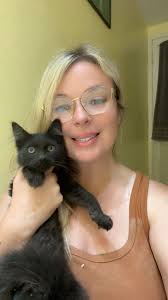 Finding a home for a stray kitten in Orange?