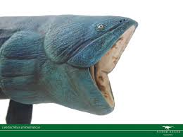 Leedsichthys problematicus, the largest bony fish ever. Vitor Silva