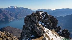 Image result for Grona