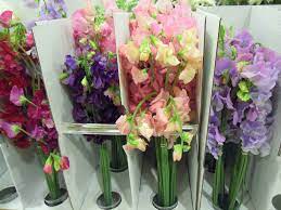 We did not find results for: Sweet Peas The Perfect Wedding Bouquet Flower