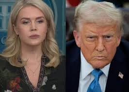 All school meals should be free