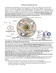 prokaryoticandeukaryoticcells