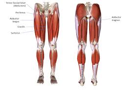 Maybe you would like to learn more about one of these? Understanding Wing Chun Structure Lower Body Wing Chun Journey