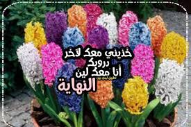 كلام انا معك سواح هوست