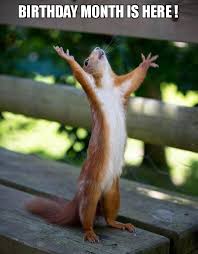 Maybe you would like to learn more about one of these? Birthday Month Is Here Happy Squirrel Make A Meme