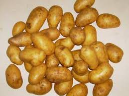 Yukon gold potatoes freshdirect 1/2 cup chopped raw 50.0 calories 12 g 0 g 1.0 g. Baby New Potatoes Nutrition Facts Eat This Much