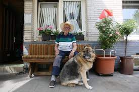 Tierheim zollstock mit adresse, öffnungszeiten und gassigehzeiten so viel kostet ein hund (tier) aus dem tierheim zollstock viele vierbeiner warten im tierheim zollstock auf ein herrchen. Sitzbank Zollstock Versucht Eine Oase Zu Retten Kolner Stadt Anzeiger