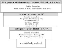 How to paste breast cancer ribbon on picture? Prognostic Value Of Ki67 And P53 In Patients With Estrogen Receptor Positive And Human Epidermal Growth Factor Receptor 2 Negative Breast Cancer Validation Of The Cut Off Value Of The Ki67 Labeling Index As A