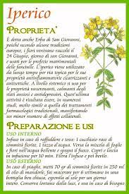 Le proprietà dell'iperico, però, non si limitano a questo. Iperico Piante Medicinali Rimedi Naturali Piante