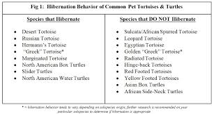 Hibernation Recommendations Arizona Exotics Tortoises
