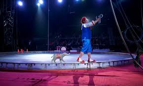 Tripoli Shrine Circus 2019 Tripoli Shrine Circus Groupon