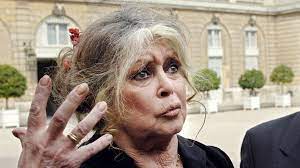 Select from premium brigitte bardot of the highest quality. Brigitte Bardot Liebe Zu Tieren Hass Auf Menschen Panorama Sz De