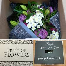 Posted by 88europets on sun, 4 jul 2021 MÄƒrturisire Screper Sudic Prestige Flowers Box Popeyethemercenary Net