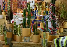 Follow these tips on christmas cactus care, how to rebloom and where to buy one. This Is The Year You Should Get A Christmas Cactus