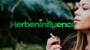 THC vs Terpenes. Which Are Best for You?