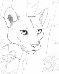 How to draw 101 cute baby animals for kids! Top Inspiration 16 Art Of Drawing Animals Pdf