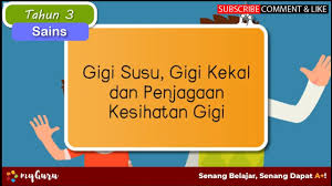 Imbas kembali penjagaan harian gigi anda. Tahun 3 Sains Gigi Susu Gigi Kekal Dan Penjagaan Kesihatan Gigi Youtube