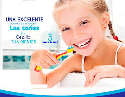 Caries Projects :: Photos, videos, logos, illustrations and branding ::  Behance