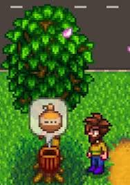 Generally the ratio of sap to syrup for the sugar maple is 40 to 1 (40 How To Get Maple Syrup Stardew Valley The Lost Noob