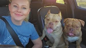 dog making unauthorized credit card charges