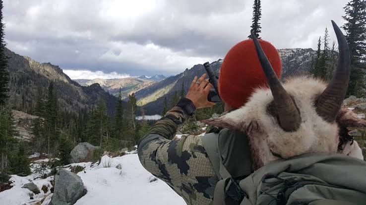 How to Hunt Mountain Goats » Outdoors International