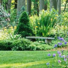 Maybe you would like to learn more about one of these? What S The Best Shade Tree For Zone 10 In Southern California Better Homes Gardens