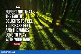 Below is a collection of great quotes about trees to keep you growing strong and moving forward in your everyday efforts. Forest Quotes Which Will Motivate You To Respect Nature 2021