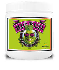 Big Bud Powder Bloom Booster Advanced Nutrients