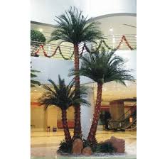The pygmy date palm is also known as the miniature date or dwarf palm. Large Decorative Washingtonia Artificial Indoor Palm Trees Buy Artificial Palm Tree Indoor Palms Trees Indoor Decorative Palm Trees Product On Alibaba Com