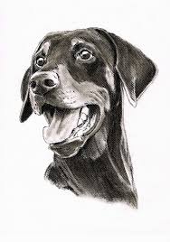 Wir malen eure feuchtnasen mit herz. Hundeportraits Portraits Des Ateliers Zeichenfuchs