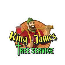Maybe you would like to learn more about one of these? Best King James Tree And Stump Service Crossville Tn 865 951 5580