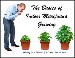 Maybe you would like to learn more about one of these? The Basics Of Indoor Marijuana Growing You Know Asking For A Friend Just In Case