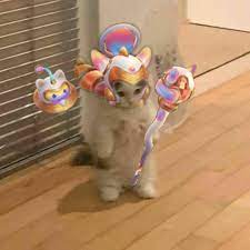 @ someone and if they don't @ back in the next 10 seconds they make their pfp this for 10 days. Lulu Cat Meme Pfp Lulumains